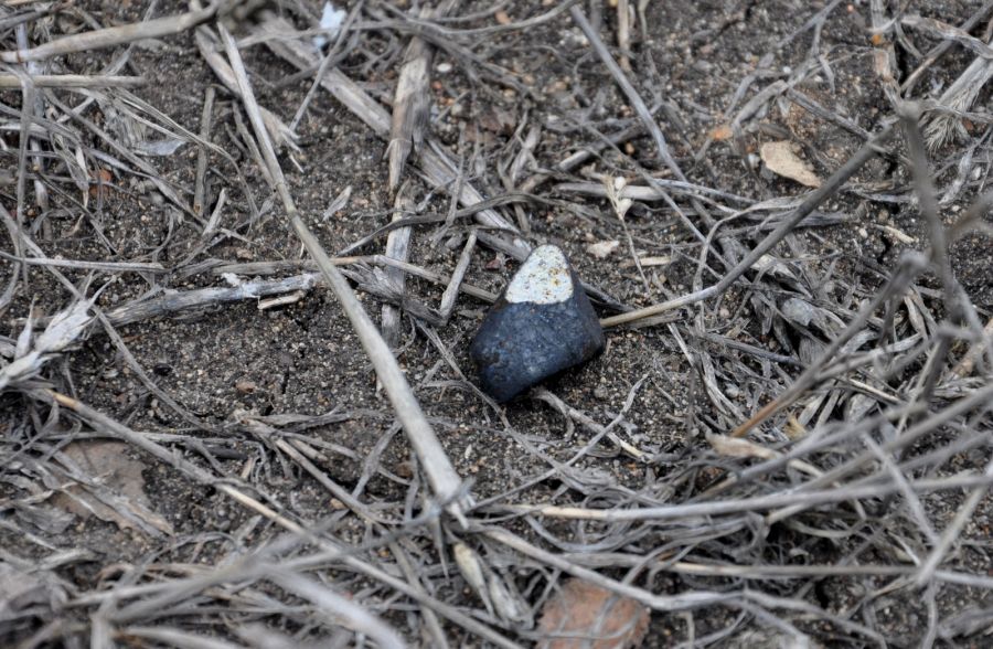 Chelyabinsk meteorite 9.75g in situ